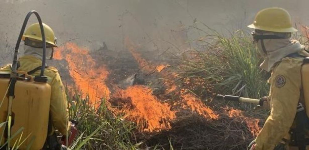 Leonardo Sakamoto: Fogo de grileiro devasta 2,8 mil campos de futebol em terra indígena no PA