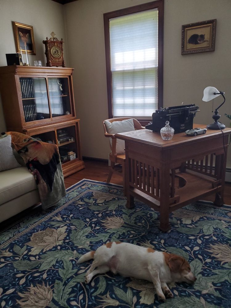 Picture of my pup Charlie a beagle mix in the library. Antique glass bookcase filled with my mother's Agatha Christie novels. Antique desk, chair,clock, typewriter, camera. Small painting of Reynard the fox. Area rug is art nouveau-ish William Morris-ish sorta flower pattern. Kind of ugly. 