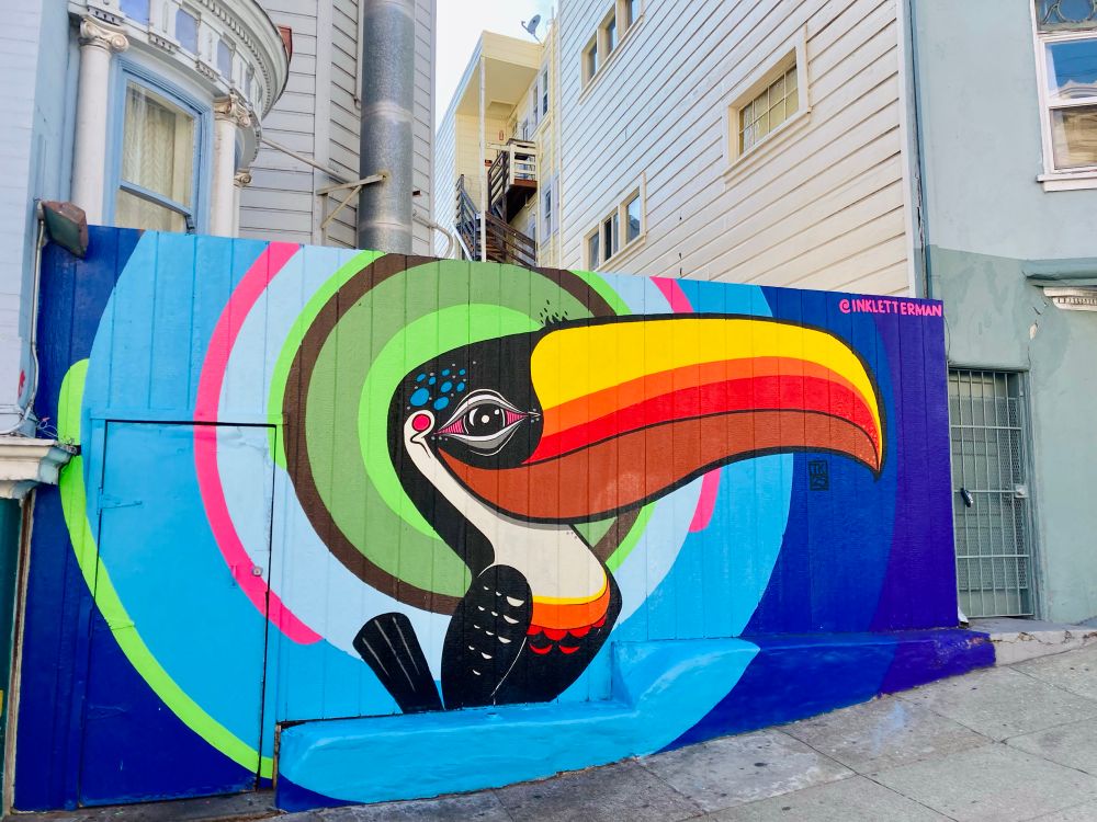 Toucan mural by Todd Kurnat