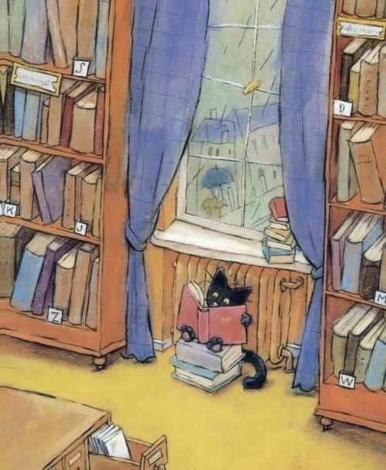 Color illustration of a black kitty cat sitting on a stack of books, while reading a book, hunkered down below a window, in front of a radiator. The window has blue curtains pulled back and another stack of books on the windowsill. The floor is yellow. There are wooden bookshelves filled with books on each side of the window. There's a wooden card catalog. The scene is cozy.