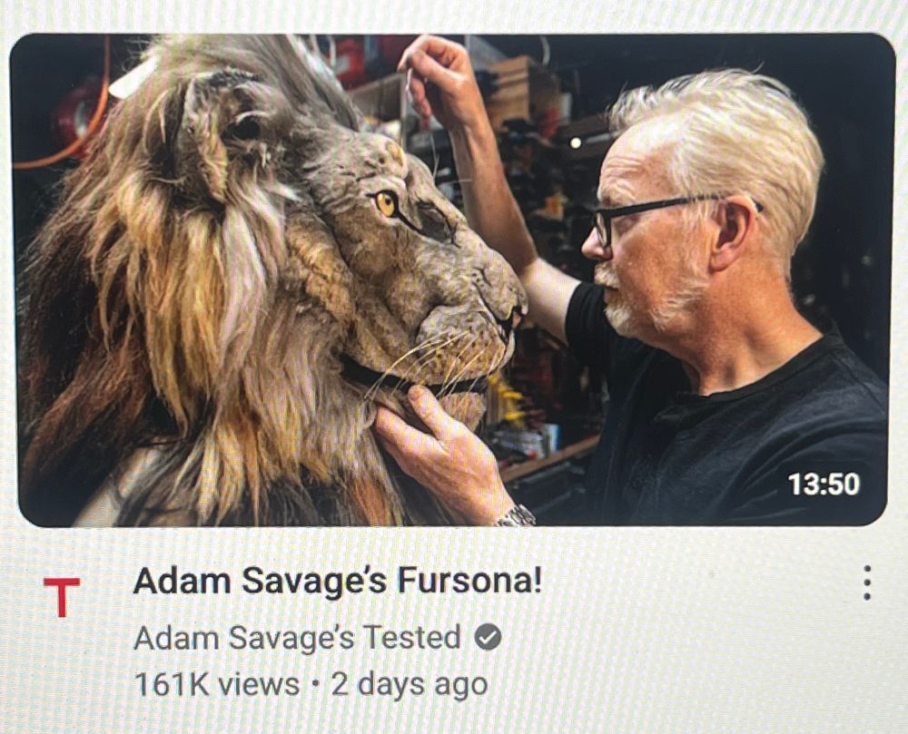 A pic of the thumbnail for a video on the  “Adam Savage’s Tested” YouTube channel. 

Adam savage is former co-host of the TV show “myth busters.”

The title of the video is “Adam Savage’s Fursona!”  

Adam is working on a fursuit head of a realistic lion in the thumbnail. 