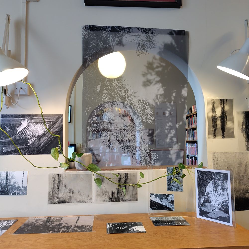 A colour photo of the 'Where Shadows Linger...' exhibition, featuring black and white photos of Chinese gardens, close ups of plants and and trees, placed horizontally and vertically on a display cabinet and on the walls. In the centre of a photo is a thin transparent silk print of tree branches, hanging from the top of the arch to the cabinet, with the light shining through. Two lamps are lighting the display, and the green crawling plant hanging above the photographs and resting on some.