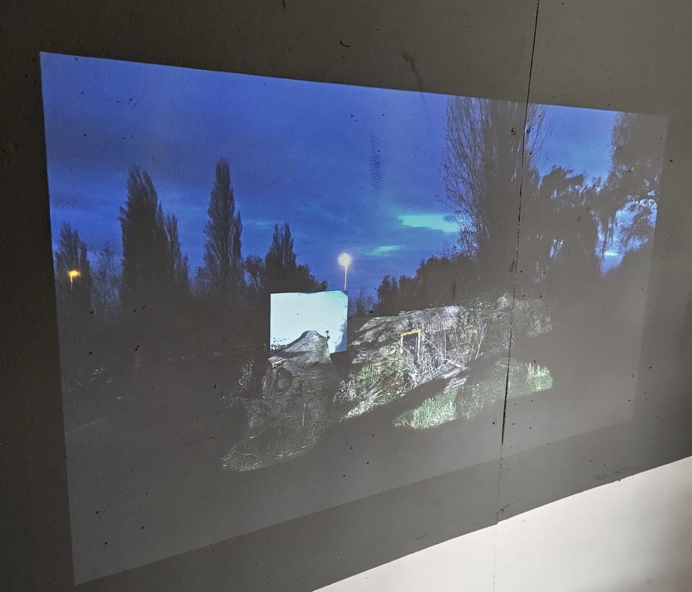 A close up of a still from a film made by Zhu at the Sheep's Green common grounds that is projected on the gallery wall.
