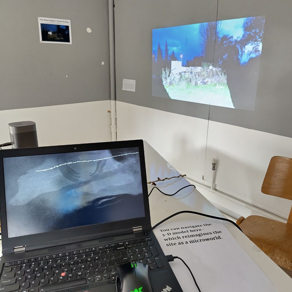 The photo of Lingzheng Zhu's installation at the AHA Faculty gallery. A laptop with software changing voice tones into visual patterns and words and displaying them is in the foreground. In the background, a film made by Zhu at the Sheep's Green common grounds is projected on the wall.