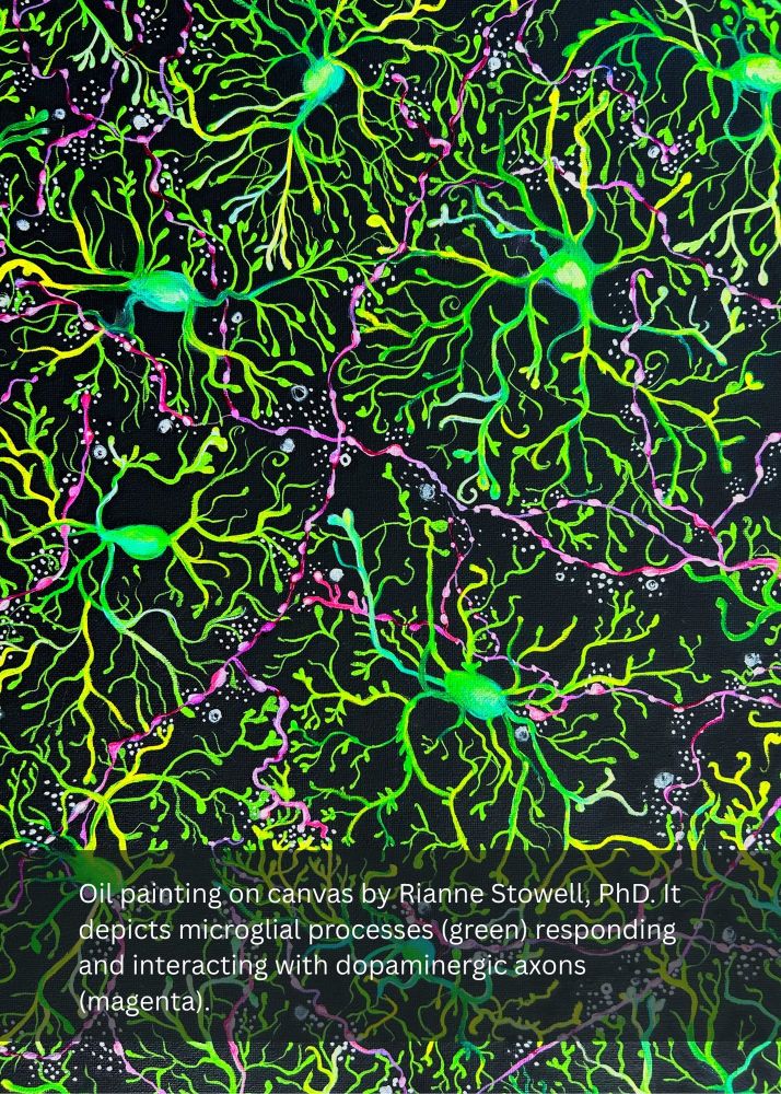 Oil painting on canvas by Rianne Stowell, PhD. It depicts microglial processes (green) responding and interacting with dopaminergic axons (magenta).