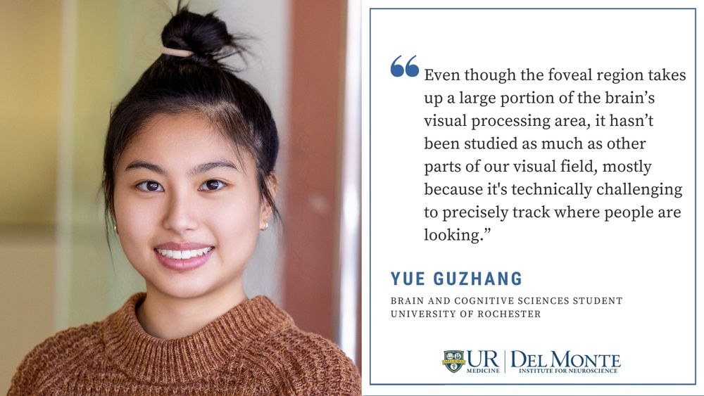 Even though the foveal region takes up a large portion of the brain’s visual processing area, it hasn’t been studied as much as other parts of our visual field, mostly because it's technically challenging to precisely track where people are looking.”