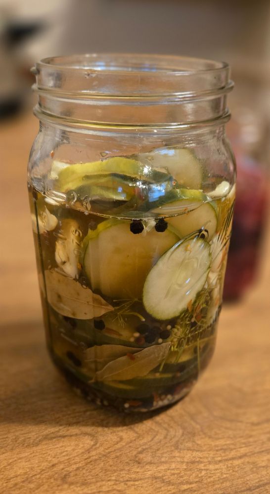A large mason jar filled with homemade pickle chips, dill, garlic, black peppercorns, mustard seed, bay leaves, and red pepper flakes.