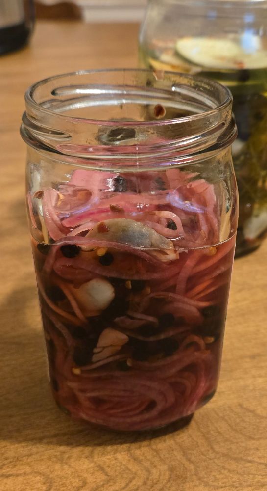 A small mason jar filled with pickled red onions, garlic, black peppercorns, and red pepper flakes.