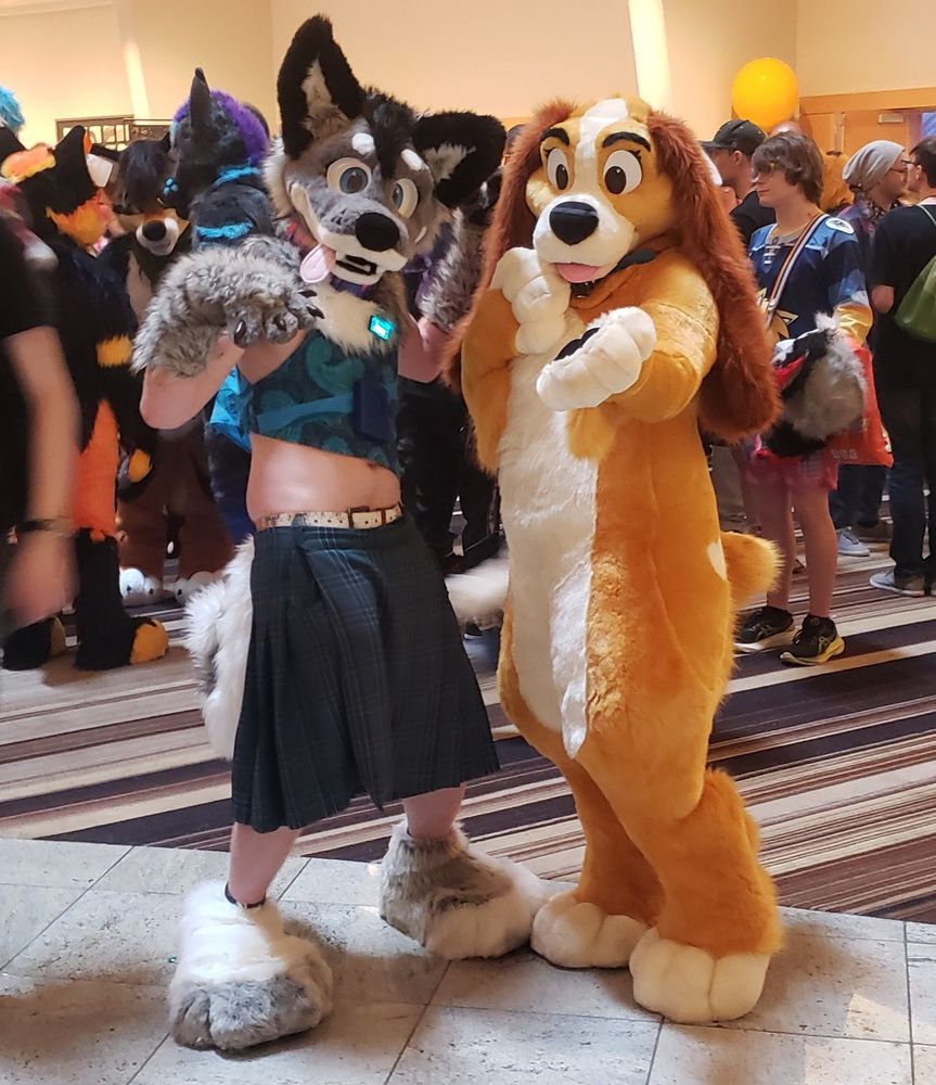 Unfortunately I did not get this dog's name!