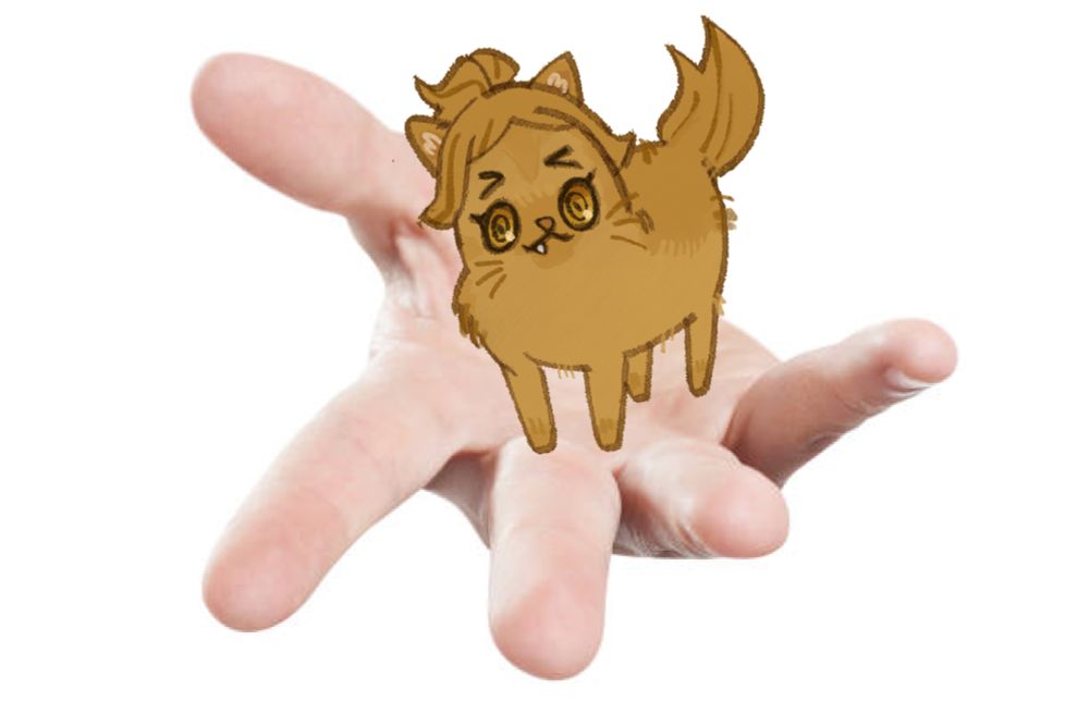 Comment image