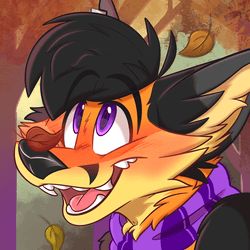 Preview
