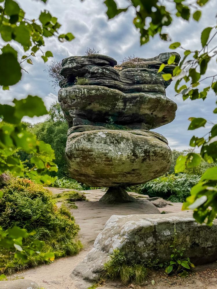 A giant balancing boulder at Brimham Rocks rises among dense vegetation, its smooth layers and rounded shape set against a cloudy sky.