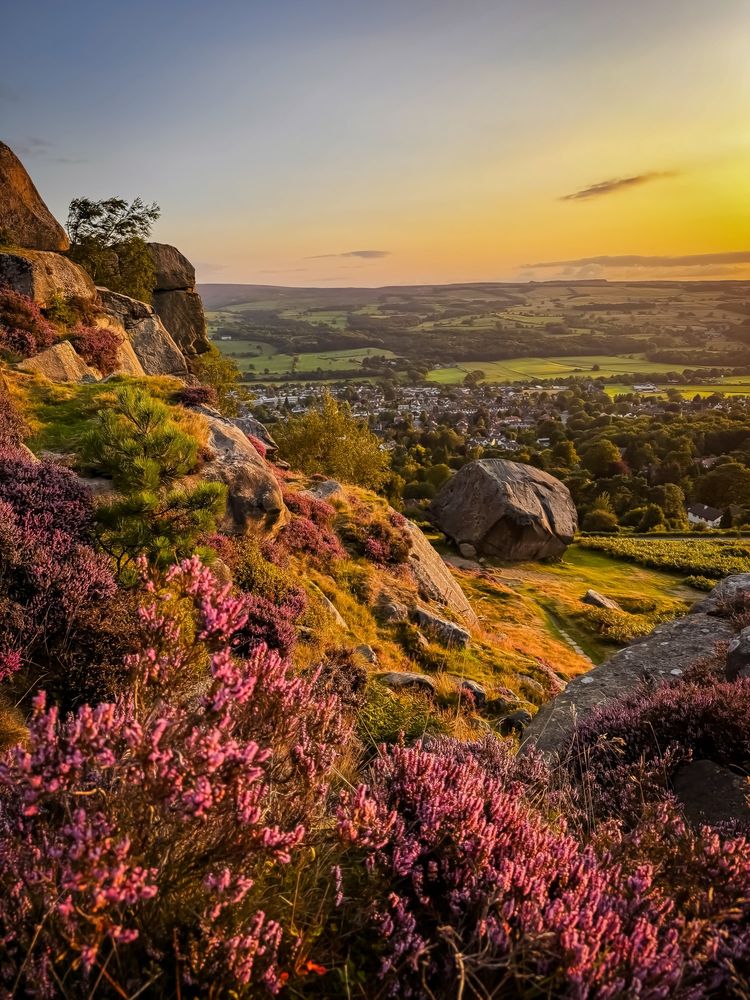 At Ilkley Crag, dawn breaks in gold and violet, the heather glowing softly while ancient boulders stand sentinel above a valley wrapped in stillness.
