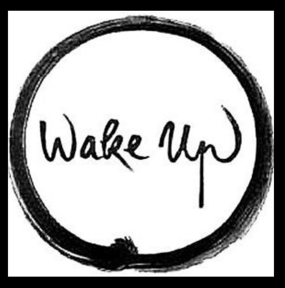 The words Wake Up encircled. 
