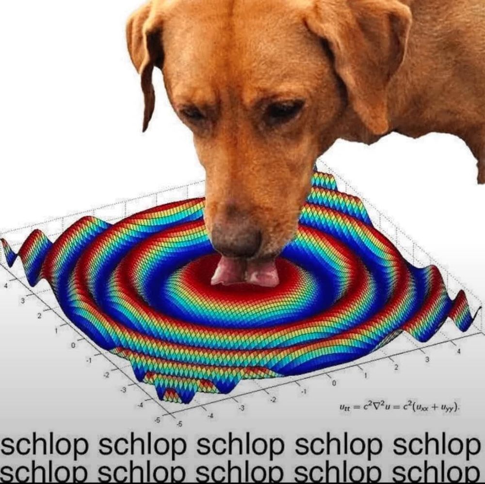 A meme that is a radial 3d wave model. A dog drinking water is photoshopped onto it to look like it's drinking the graph instead. Captioned: "schlop schlop schlop schlop schlop schlop schlop schlop schlop schlop"