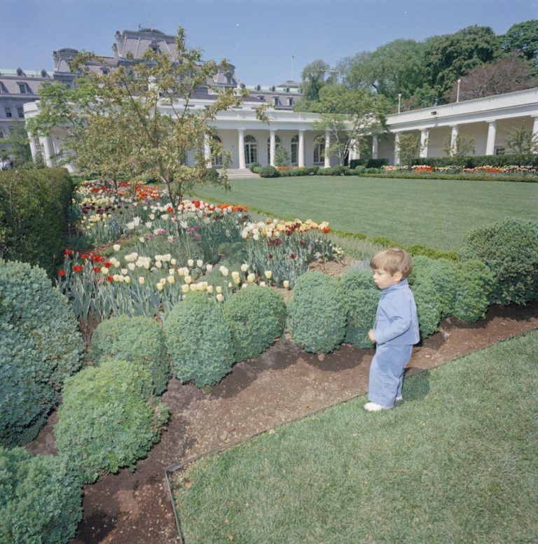 John F. Kennedy, Jr. in the Rose Garden, 26 April 1963. https://jfk.blogs.archives.gov/2022/03/15/a-bunny-in-the-rose-garden/
