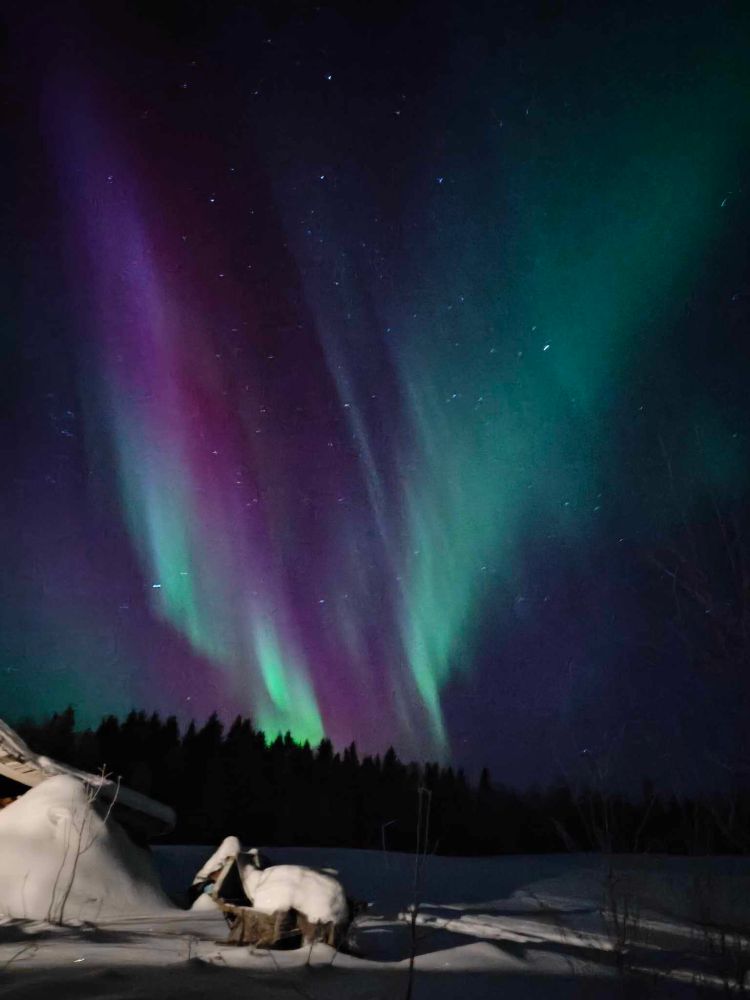 A starry night sky with purple and green northern lights.