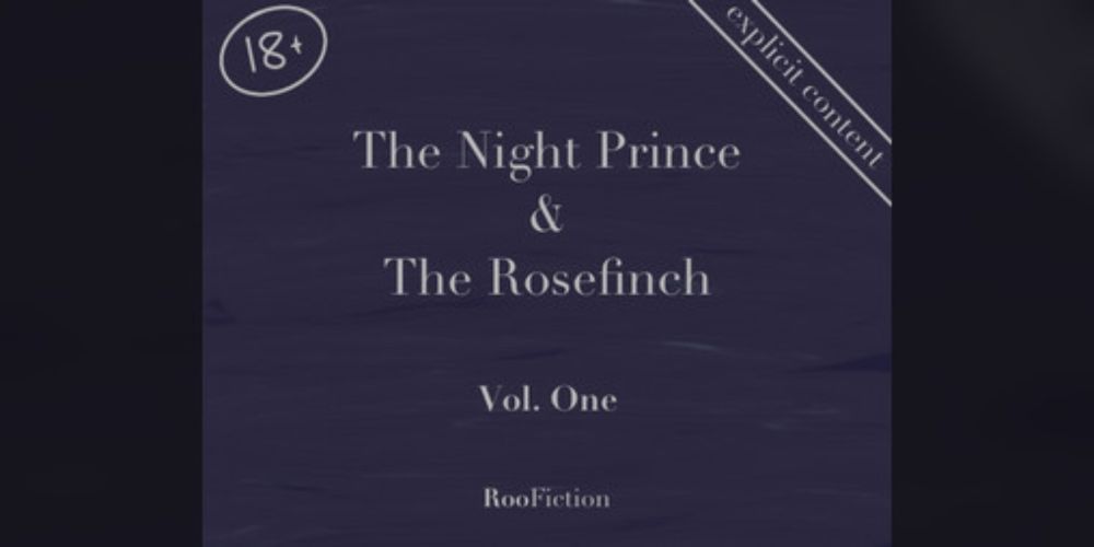 The Night Prince & The Rosefinch Vol 1 by Friction Press