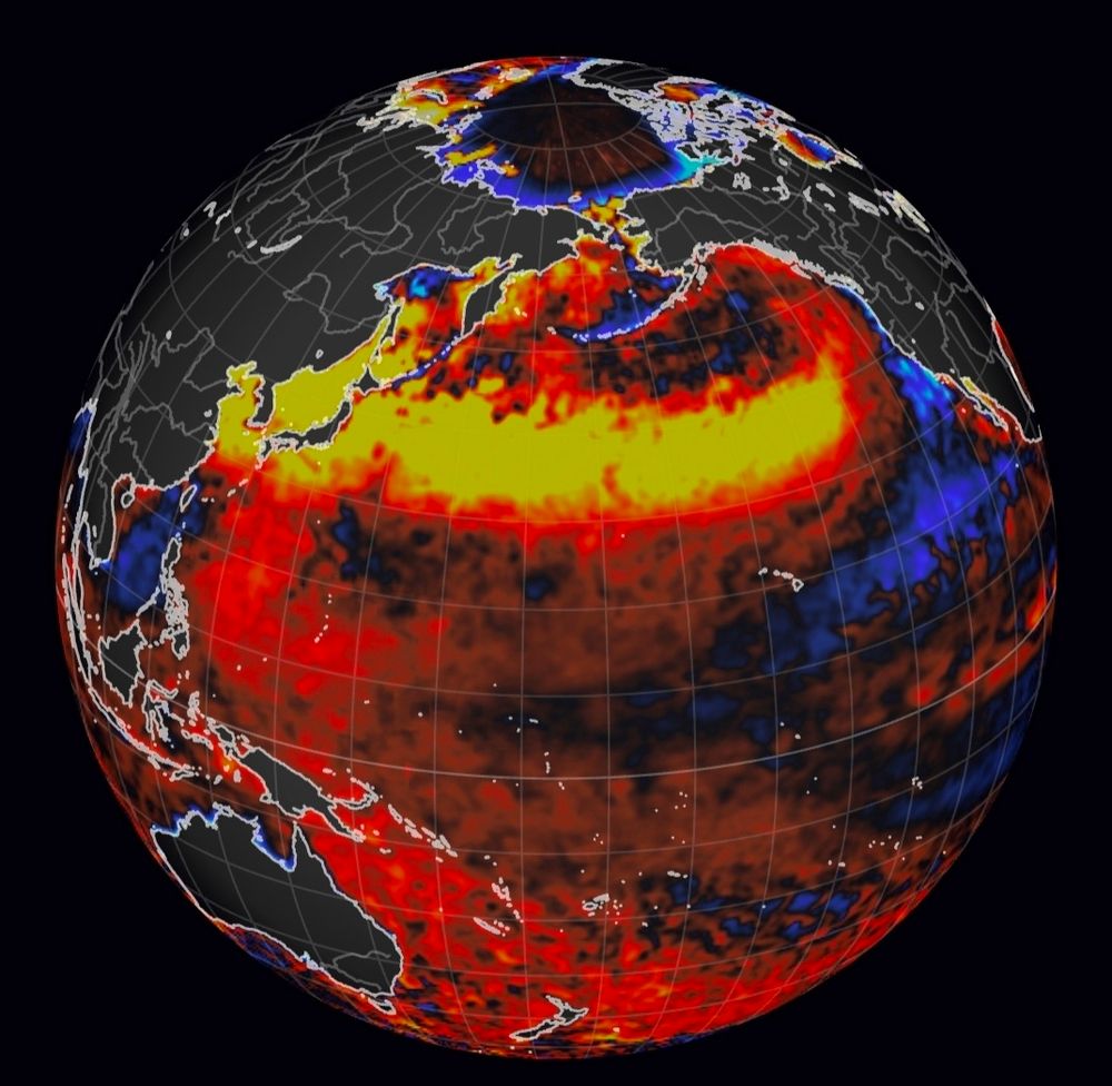 Extreme Hitzewelle im Nordpazifik: Aktuelle Karte der Anomalie der Meeresoberflächentemperatur zeigt eige gigantische marine Hitzewelle die über 9000 Kilometer weit von China/Russland bis nach Nordamerika reicht.