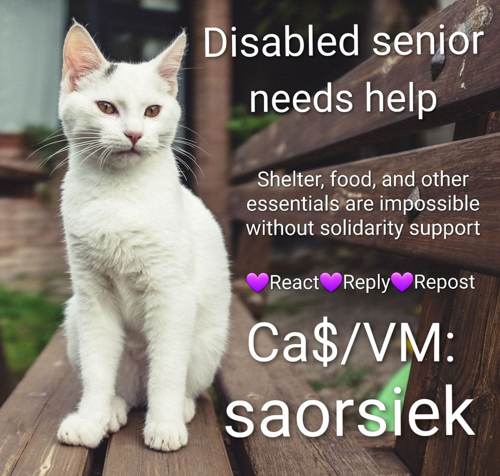 Graphic alerts to a mutual aid need: background photo of an old white cat sitting on a wooden bench with the following text overlaid: Disabled senior needs help. Shelter, food, and other essentials are impossible without solidarity support' A row of purple heart emojis punctuate the words 'React Reply Repost'. You are directed to Ca$/VM: saorsiek
