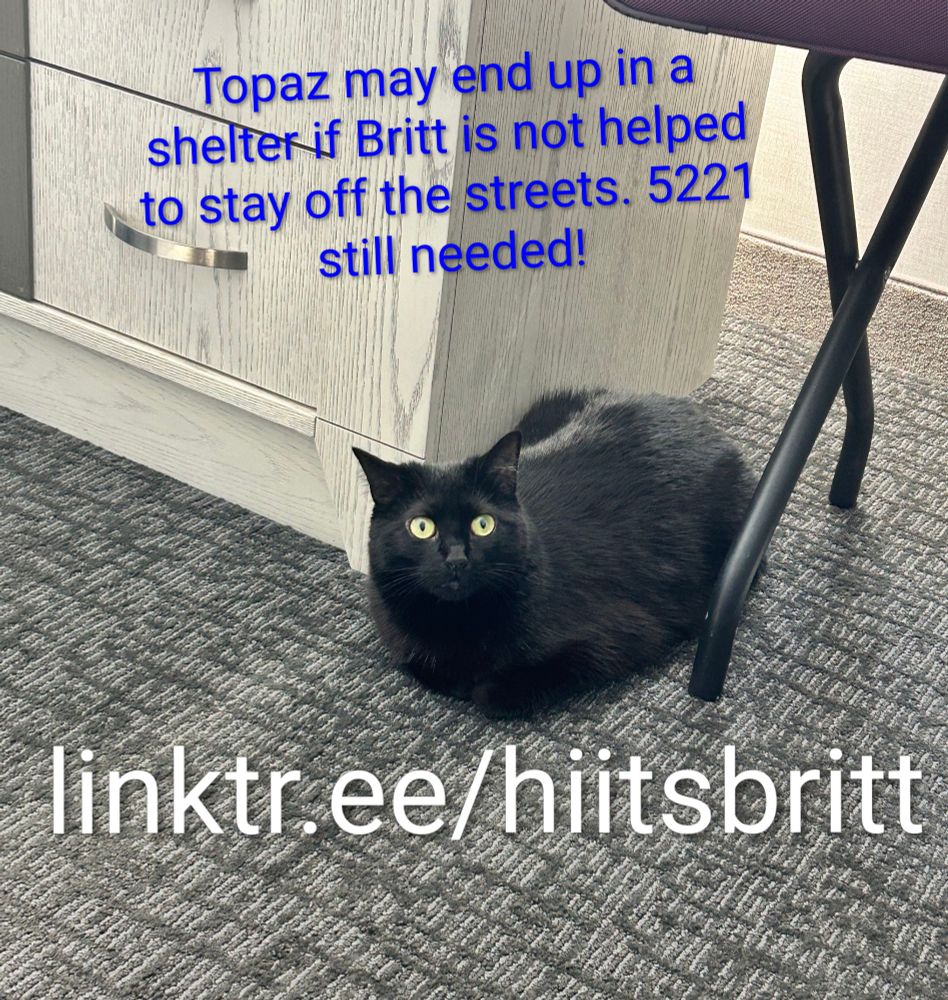 Photo of a black cat with green eyes, in a neat loaf on a hotel floor. texr overlaid says 'Topaz may end up in a shelter if Britt is not helped to stay off the streets. 5221 still needed' You are directed to linktr.ee/hiitsbritt