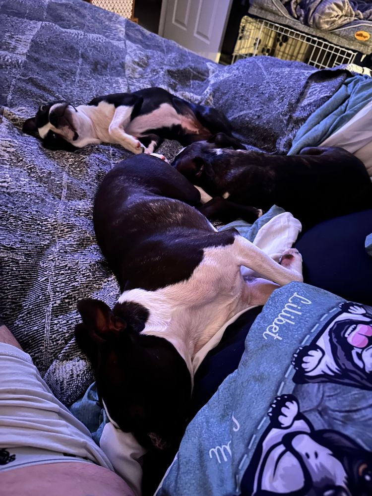 The girls asleep, sprawled out on our bed 