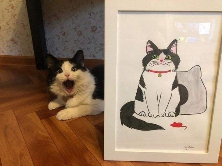 He seems to be the first customer to be satisfied with the order 😆