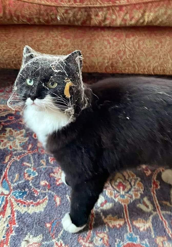 The basement is cleared. 🙂