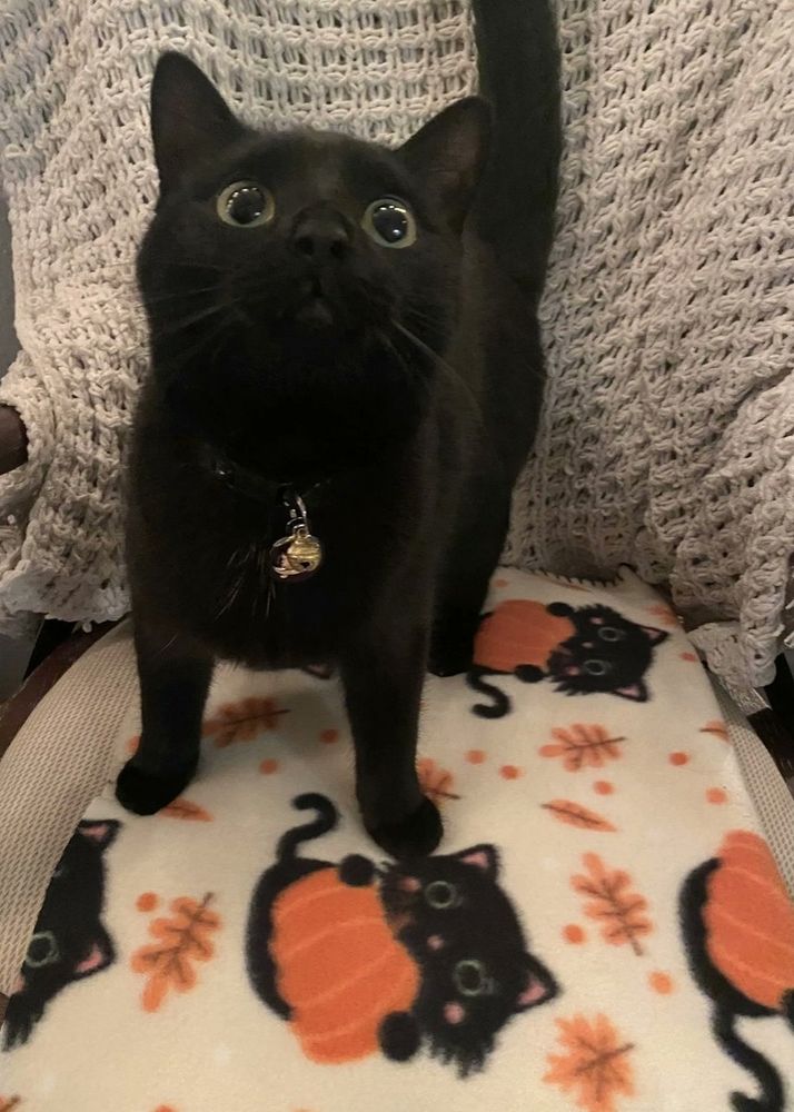She's excited because she matches her new blankie