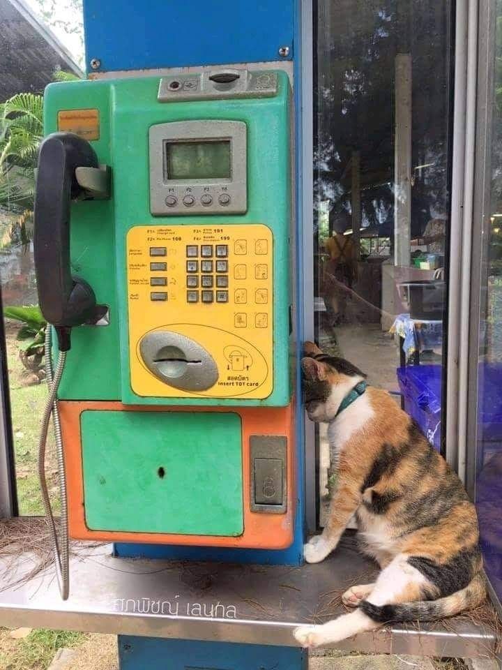 Waiting for your phone call...😔