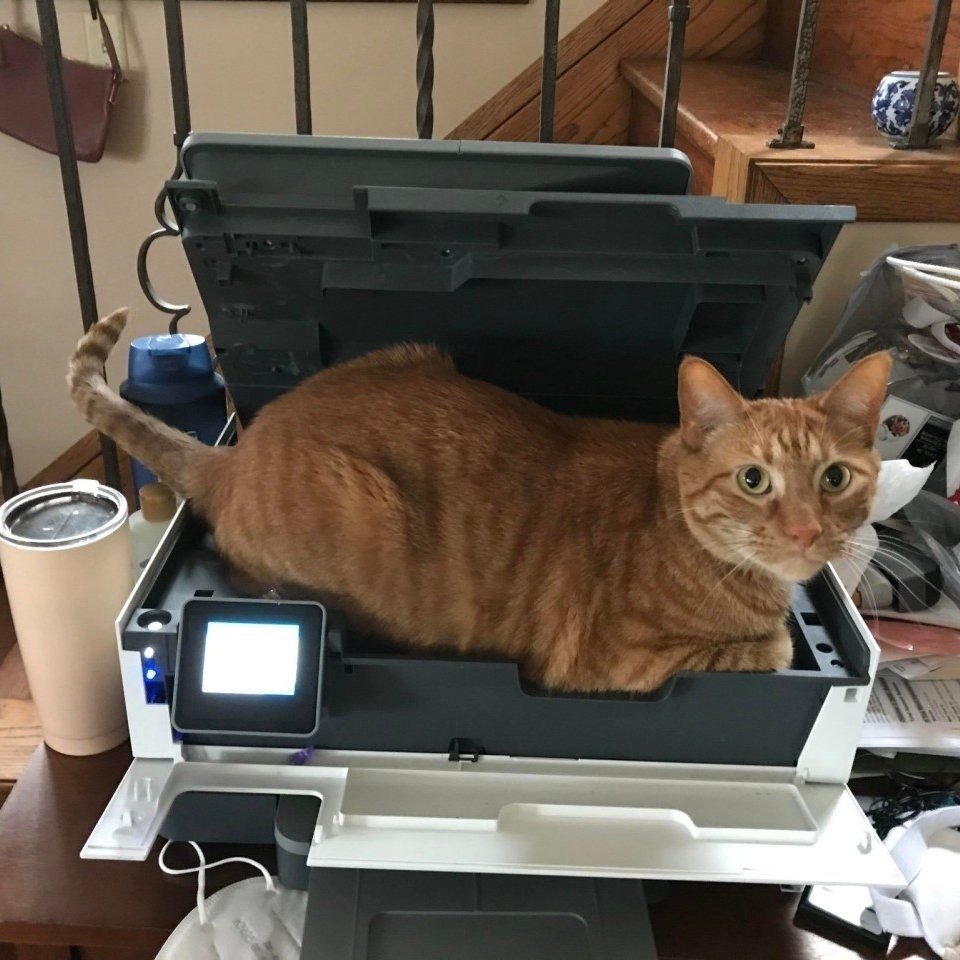 printer is jammed