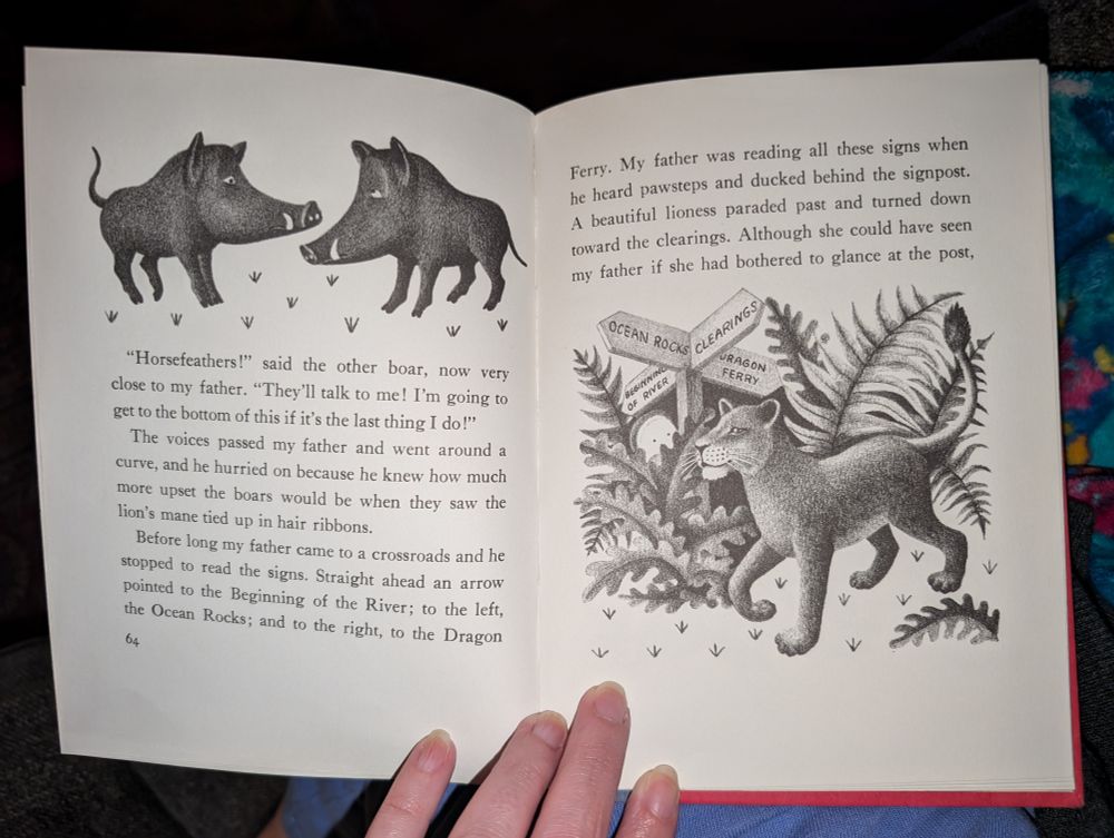 inside of the book, featuring story and black and white illustrations of two boars, and a lion walking through a jungle