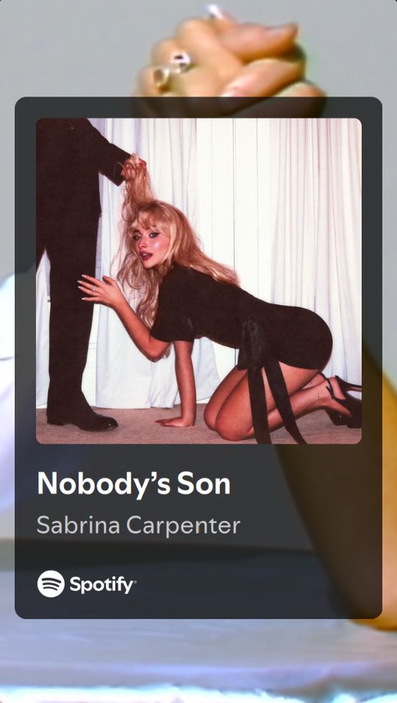 screenshot of nobody’s son by sabrina carpenter on spotify, from her album man’s best friend