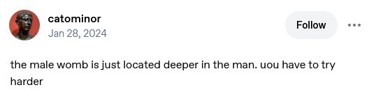 A screenshot of a Tumblr post by user catominor, dated January 28th 2024, which reads: the male womb is just located deeper in the man. uou [sic] have to try harder