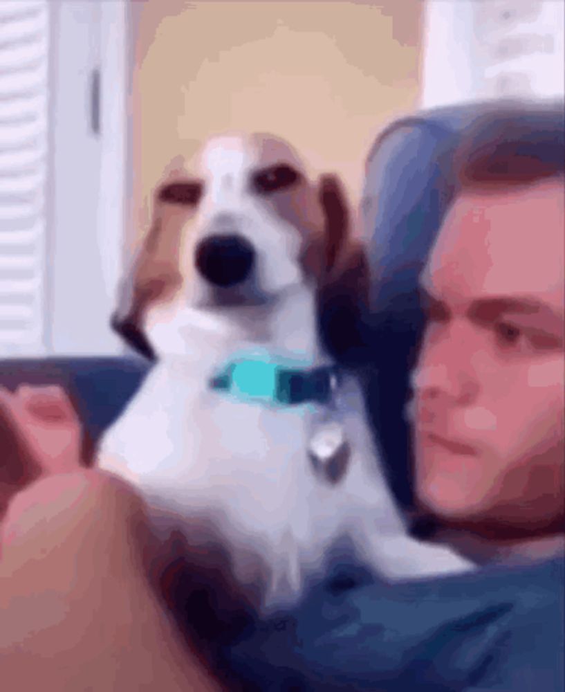 a blurry picture of a man and his dog