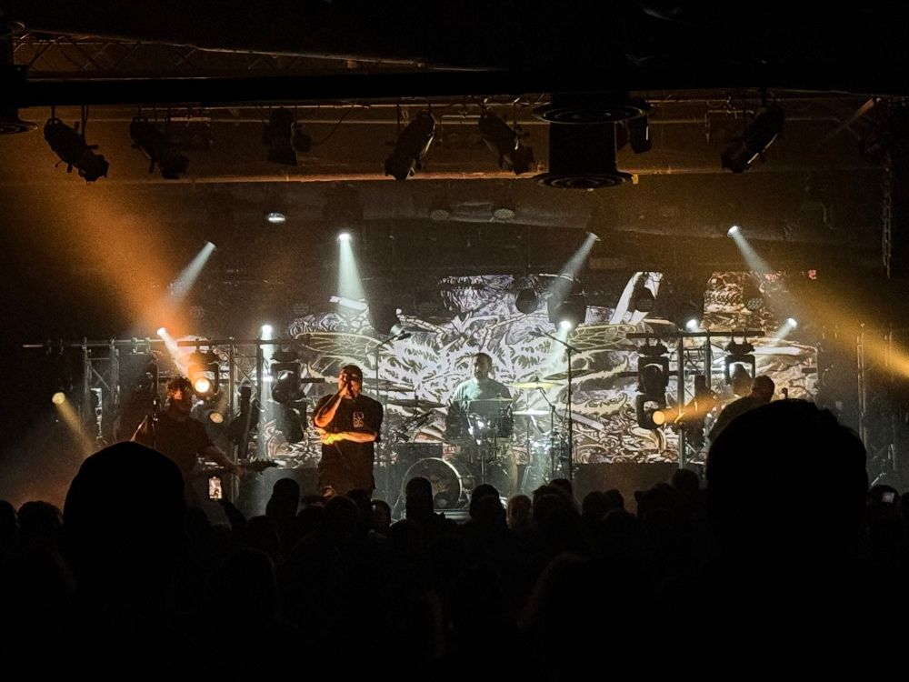 Signs of the Swarm on the Baltimore Soundstage