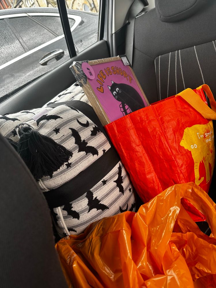 spooky bat pillows + black cat poster 