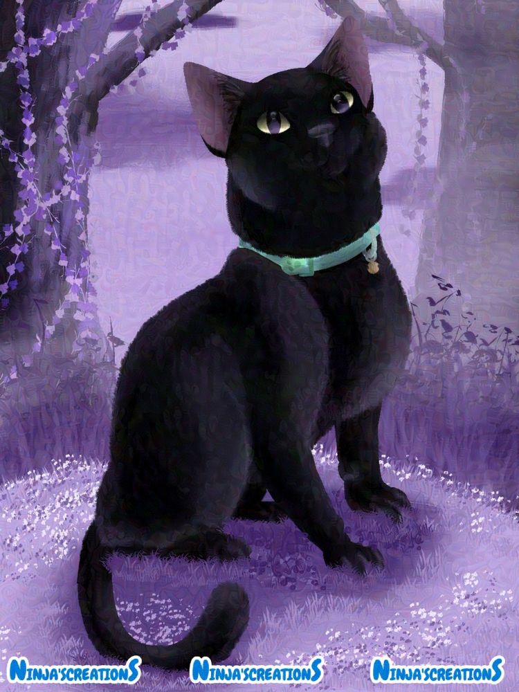 Smiling black cat sitting in purple flora.