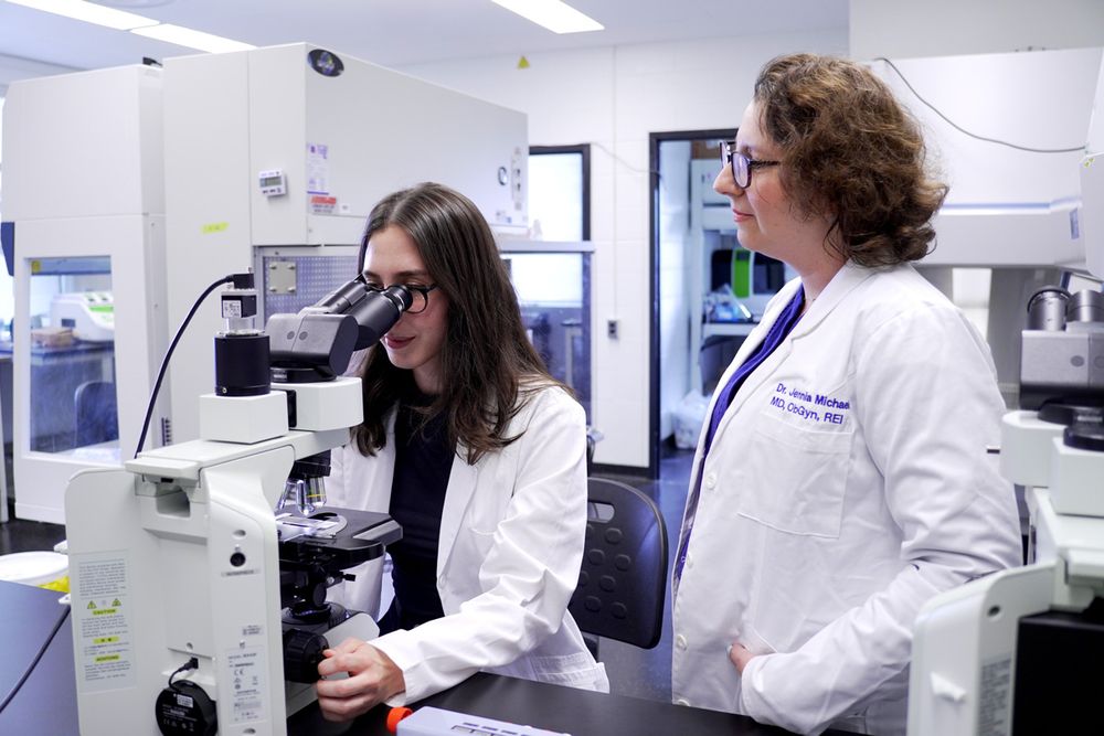 One doctor looking in microscope while another looks on