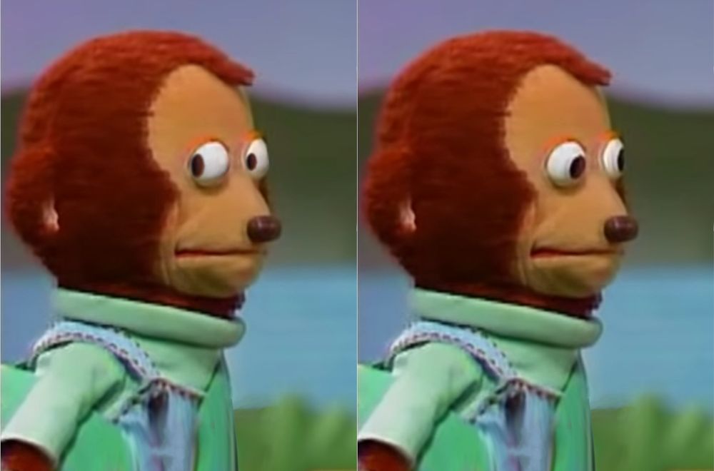 meme of a monkey puppet wearing a green shirt looking towards the camera and then away from the camera 