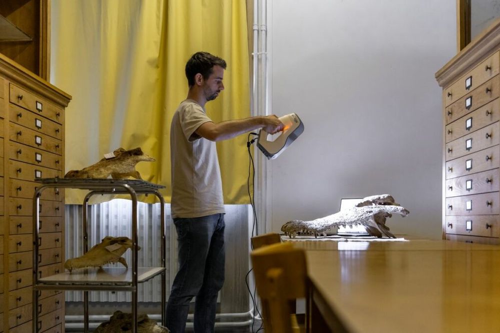 Scène montrant une saisie 3D en lumière structurée, © CNRS - Simon Bianchetti