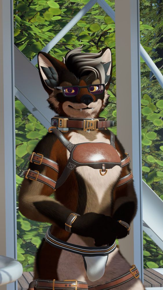 Anthropomorphic vrc avatar in the shape of a coyote looking at the camera with a polite smile. 