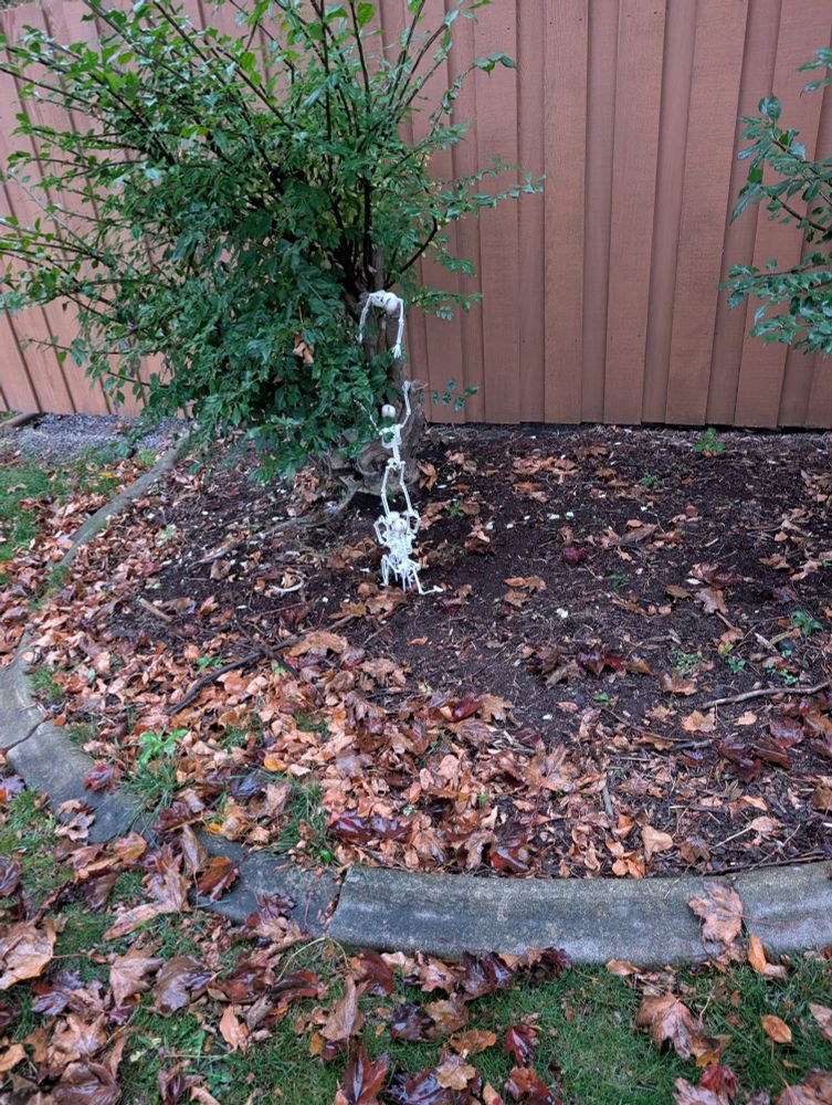 Tiny skeletons trying to climb up a shrub