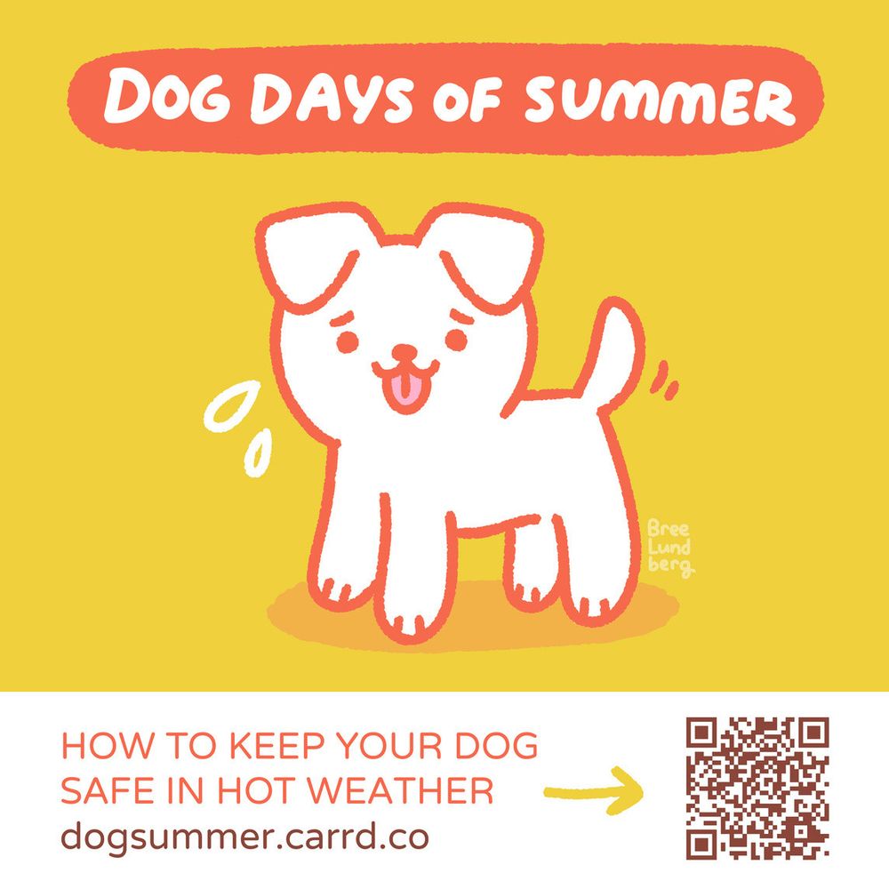 Illustration of a stylized cute white dog on a yellow background with orange line work. It says "dog days of summer" in hand lettering above it. Below is text that reads "how to keep your dog safe in hot weather" with website address and an arrow pointing to a QR code.
