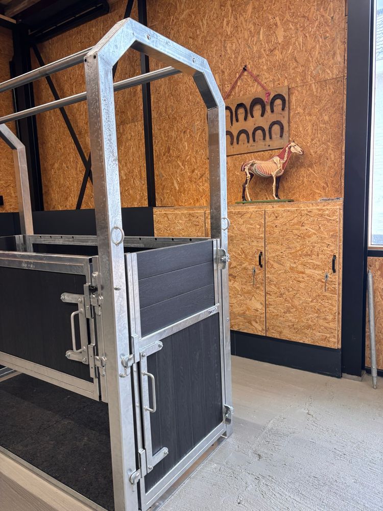 Een stevige metalen behandelbox voor paarden staat in een praktijklokaal met houten wanden. Aan de muur hangen hoefijzers en een anatomisch model van een paard, als educatief materiaal.