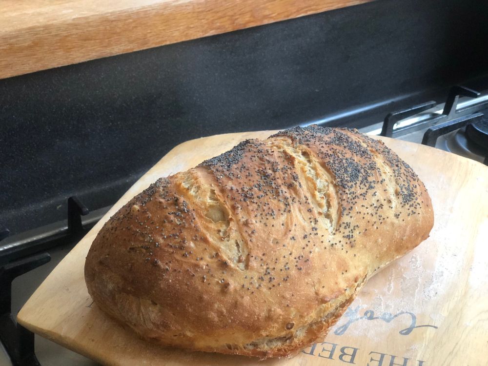 Oval (or slightly kidney) shaped loaf cooling on wooden peel