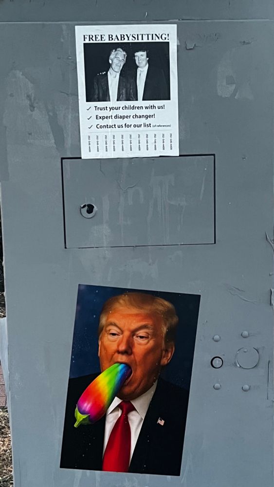 Poster of Trump with a zucchini painted in rainbow stripes; free babysitting poster with pic of Trump and Epstein and text “trust your children with us, expert diaper changes, contact us for our list”