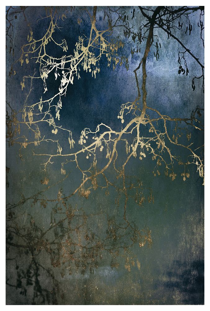 Golden branches of an Alder
