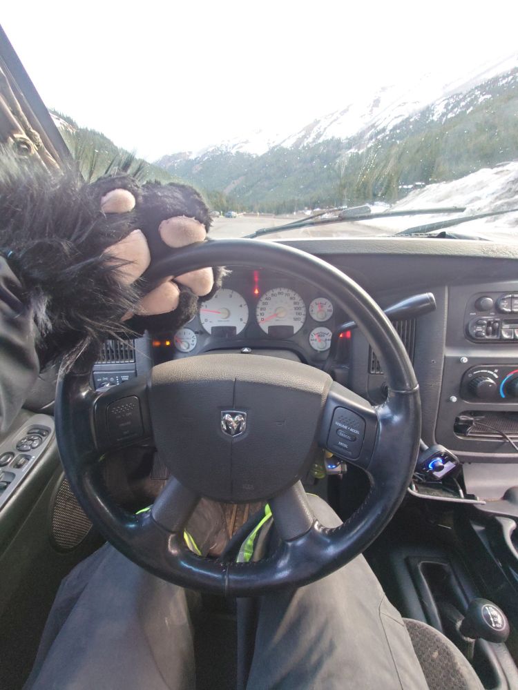 one paw on the truck wheel