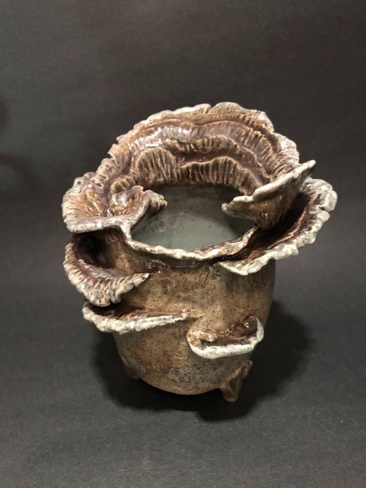 ok so hear me out... right. The year is like, 2150 maybe. Shortly after we began putting AI into literally EvErYtHiNg, humans went extinct (no one was surprised.) Our self-repairing pots with AI-injected glazes have now become self-aware and have been evolving their forms independent of human functional needs. They develop their own dreams and culture, their own desires and beauty standards. After all, what is a handle if there is no hand to hold it, eh? (This is what I think about when I pot. It's sort of my thesis...)

This ceramic vase fell in love with a turkeytail mushroom and they joined forms in holy matrimony. Small light brown vase with turkeytail mushrooms arcing out from the top and sides in rippled ridges like pleated collars edged in white. There's a soft sheen of lavender on the fungal growths, and the interior is pale blue with a light flecking of brown. The vase is lifted on 3 leaf-form wedges that overlap the body. All the rusty iron oxide I used completely burned out in the kiln, but I am still so very pleased with this piece. 

Thanks for reading the ALT! 